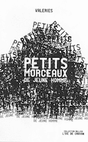 Petits morceaux de jeune homme